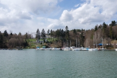 K0034499