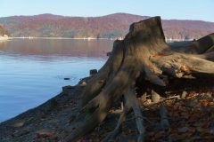 Żeglowanie po Solinie